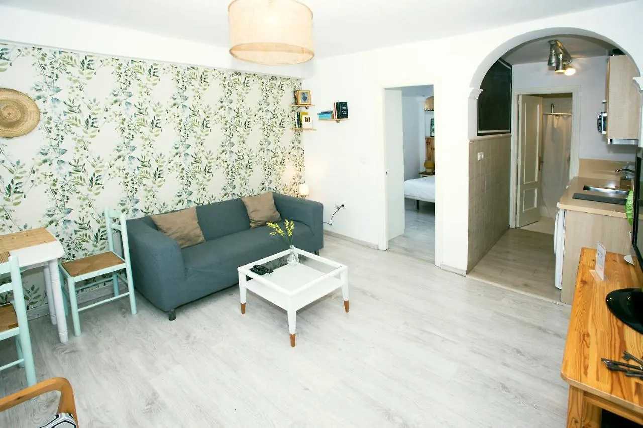 Apartamento Limon Hotel Malaga Spain